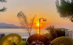 Hotel Villa Adrian